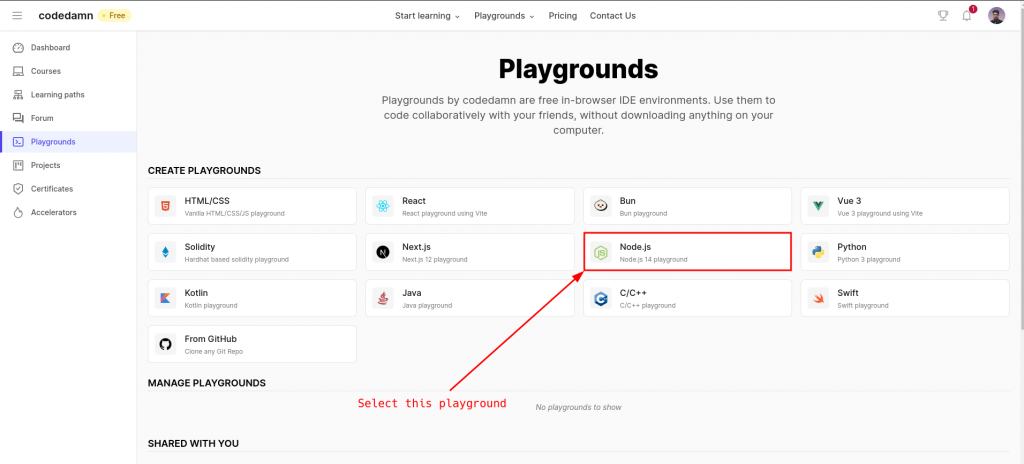 Codedamn Playground