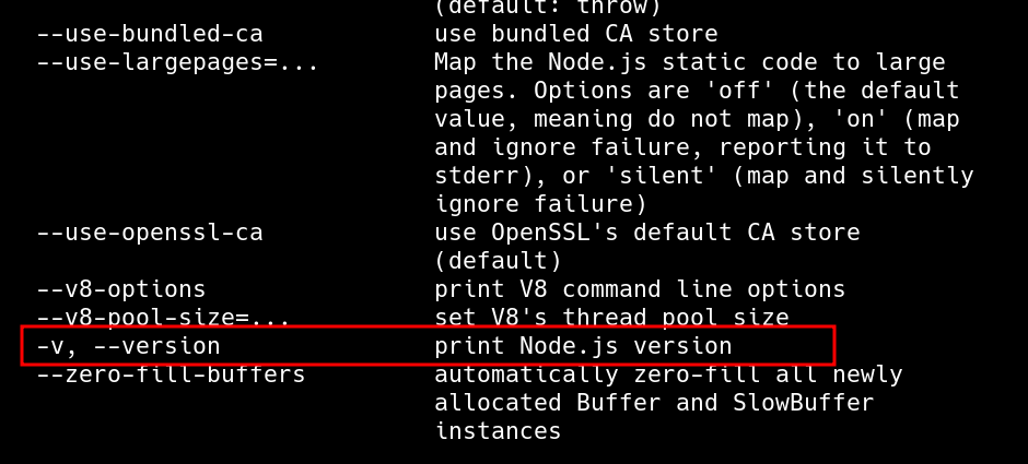 node version flag in help