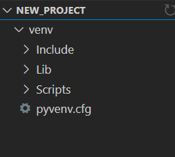 virtual environment folder