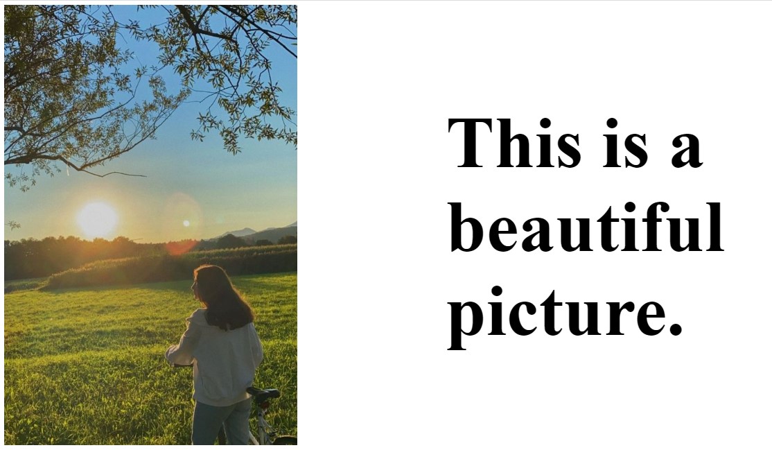 How to put image and text side-by-side in HTML?