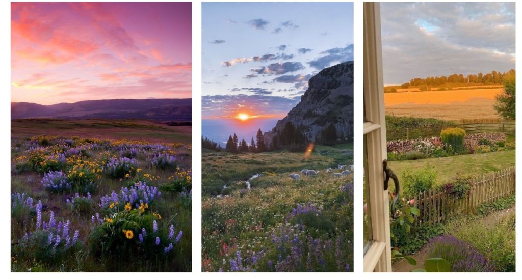 images side by side